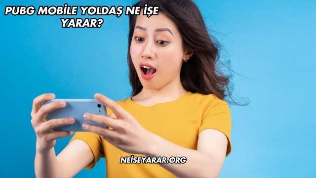Pubg Mobile Yoldaş Ne İşe Yarar?