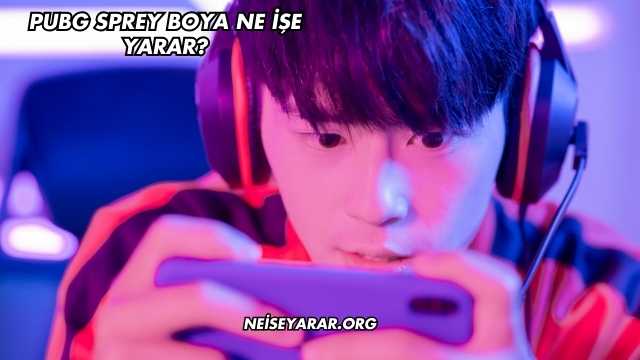 Pubg Sprey Boya Ne İşe Yarar?