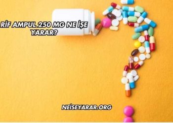 Rif Ampul 250 Mg Ne İşe Yarar?