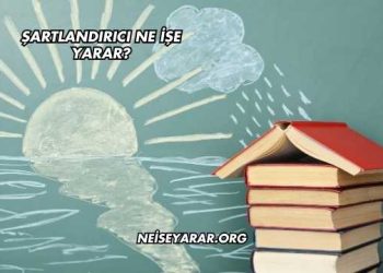 Şartlandırıcı Ne İşe Yarar?