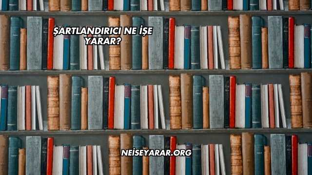 Şartlandırıcı Ne İşe Yarar?