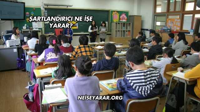 Şartlandırıcı Ne İşe Yarar?