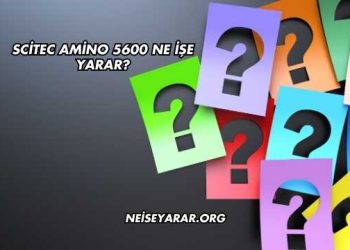 Scitec Amino 5600 Ne İşe Yarar?
