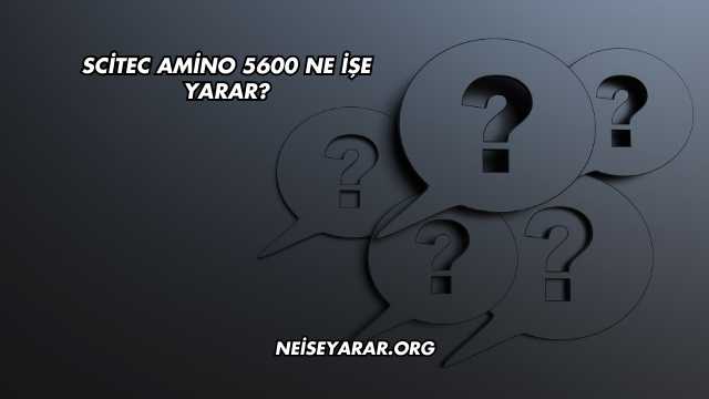 Scitec Amino 5600 Ne İşe Yarar?