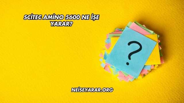 Scitec Amino 5600 Ne İşe Yarar?