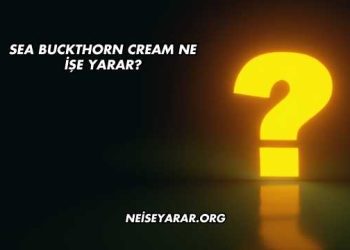 Sea Buckthorn Cream Ne İşe Yarar?