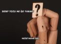 Sedef Tozu Ne İşe Yarar?