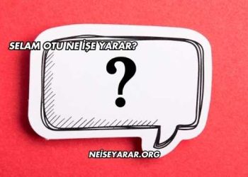 Selam Otu Ne İşe Yarar?
