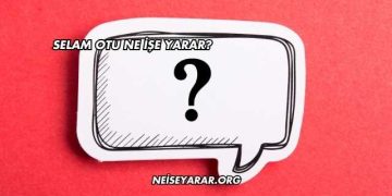 Selam Otu Ne İşe Yarar?