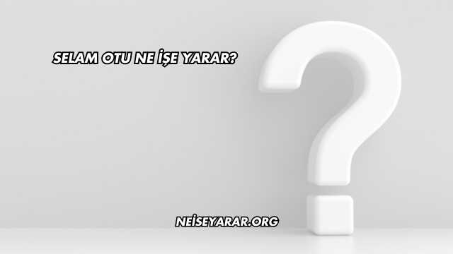 Selam Otu Ne İşe Yarar?