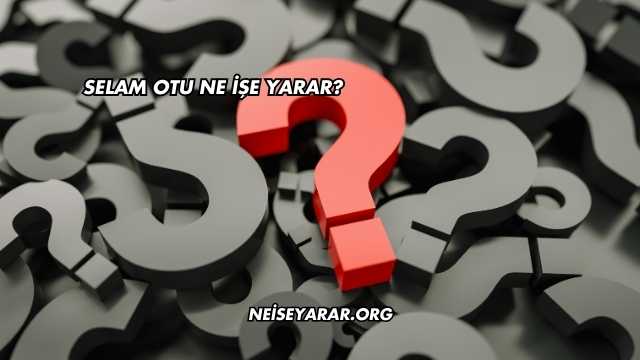 Selam Otu Ne İşe Yarar?