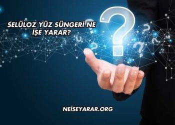 Selüloz Yüz Süngeri Ne İşe Yarar?