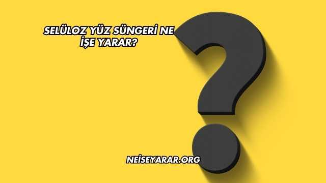 Selüloz Yüz Süngeri Ne İşe Yarar?