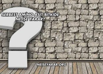 Serbest Amino Asit Bitkide Ne İşe Yarar?