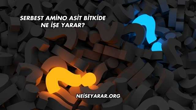 Serbest Amino Asit Bitkide Ne İşe Yarar?