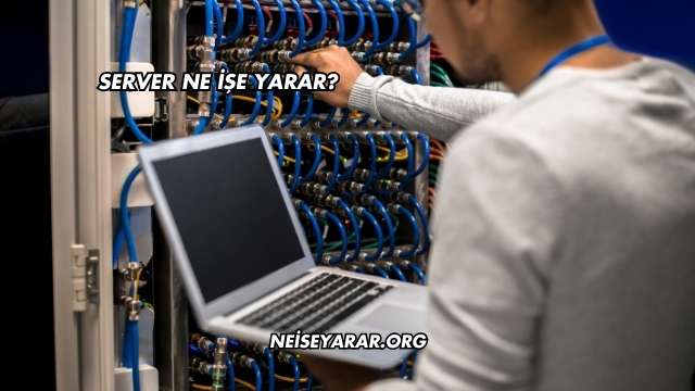Server Ne İşe Yarar?