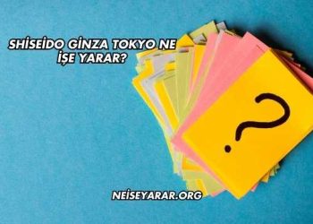 Shiseido Ginza Tokyo Ne İşe Yarar?
