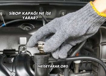 Sibop Kapağı Ne İşe Yarar?