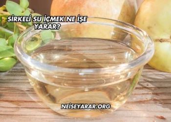 Sirkeli Su İçmek Ne İşe Yarar?
