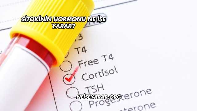 Sitokinin Hormonu Ne İşe Yarar?
