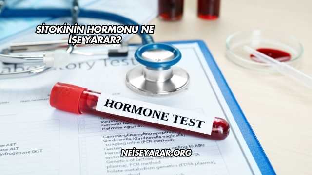 Sitokinin Hormonu Ne İşe Yarar?