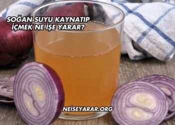 Soğan Suyu Kaynatıp İçmek Ne İşe Yarar?