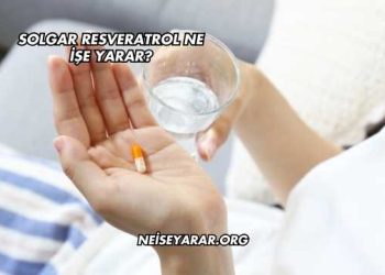 Solgar Resveratrol Ne İşe Yarar?