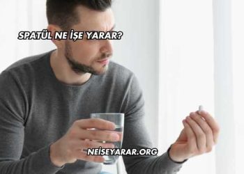 Spatül Ne İşe Yarar?