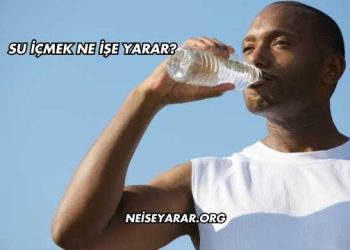Su İçmek Ne İşe Yarar?
