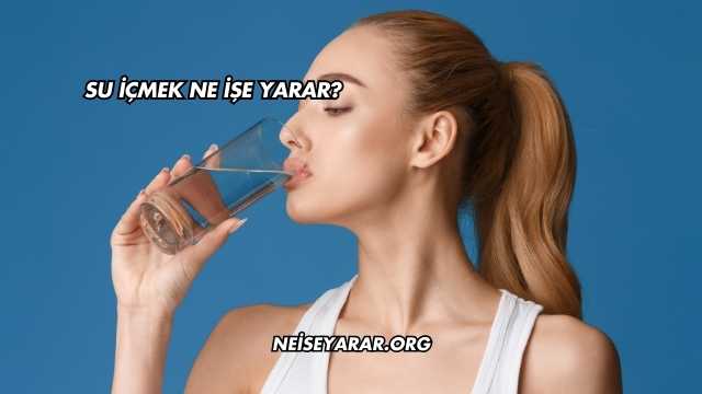 Su İçmek Ne İşe Yarar?