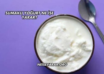 Sumaklı Yoğurt Ne İşe Yarar?