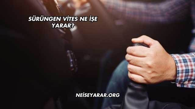 Sürüngen Vites Ne İşe Yarar?