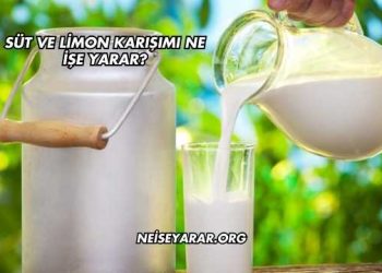 Süt ve Limon Karışımı Ne İşe Yarar?