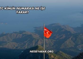 TC Kimlik Numarası Ne İşe Yarar?