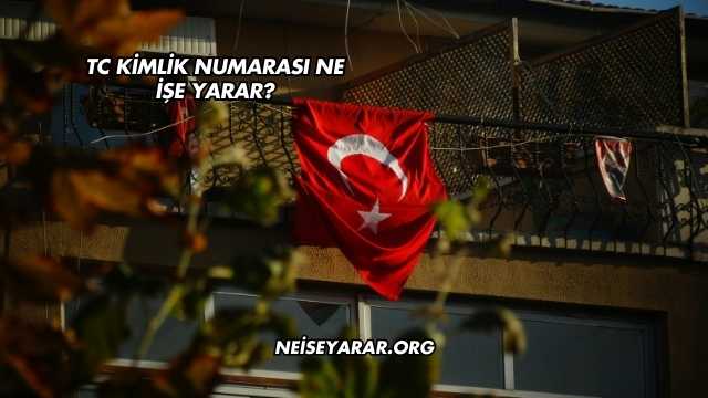 TC Kimlik Numarası Ne İşe Yarar?
