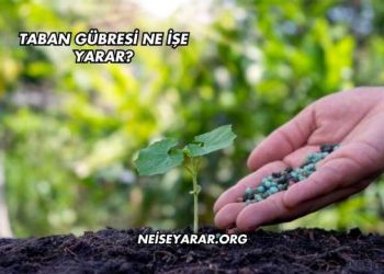 Taban Gübresi Ne İşe Yarar?