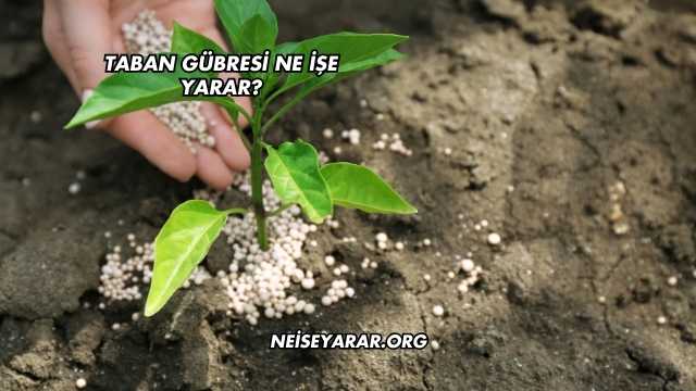 Taban Gübresi Ne İşe Yarar?