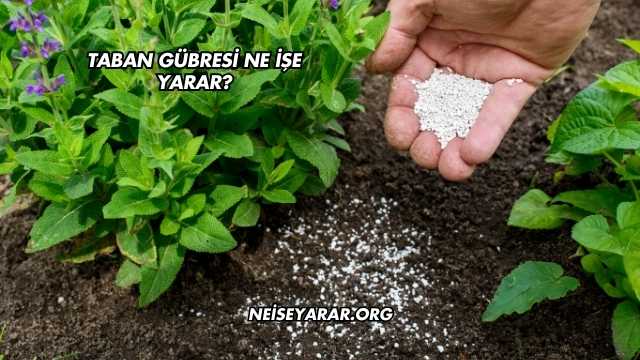 Taban Gübresi Ne İşe Yarar?