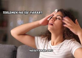 Terlemek Ne İşe Yarar?