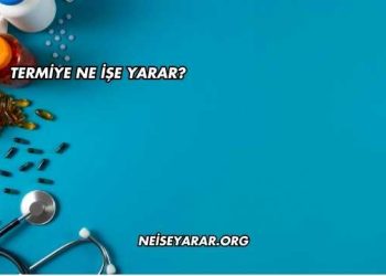 Termiye Ne İşe Yarar?