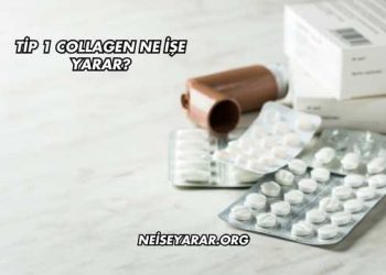 Tip 1 Collagen Ne İşe Yarar?