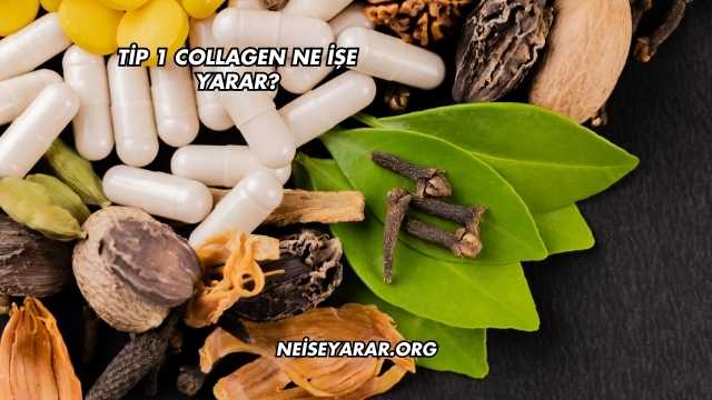 Tip 1 Collagen Ne İşe Yarar?