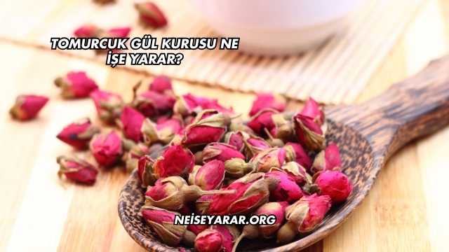 Tomurcuk Gül Kurusu Ne İşe Yarar?