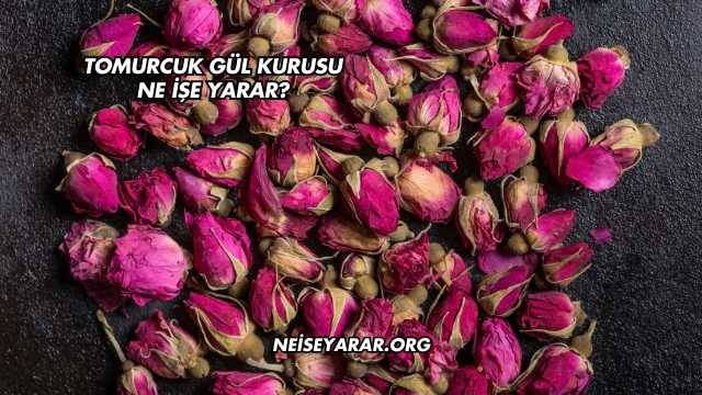 Tomurcuk Gül Kurusu Ne İşe Yarar?