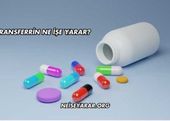 Transferrin Ne İşe Yarar?