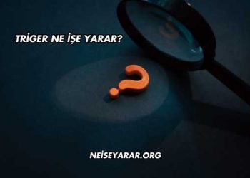 Triger Ne İşe Yarar?