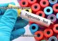 Trigliserit Ne İşe Yarar?