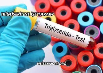 Trigliserit Ne İşe Yarar?