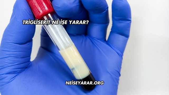 Trigliserit Ne İşe Yarar?
