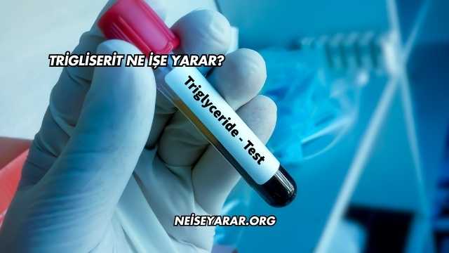 Trigliserit Ne İşe Yarar?